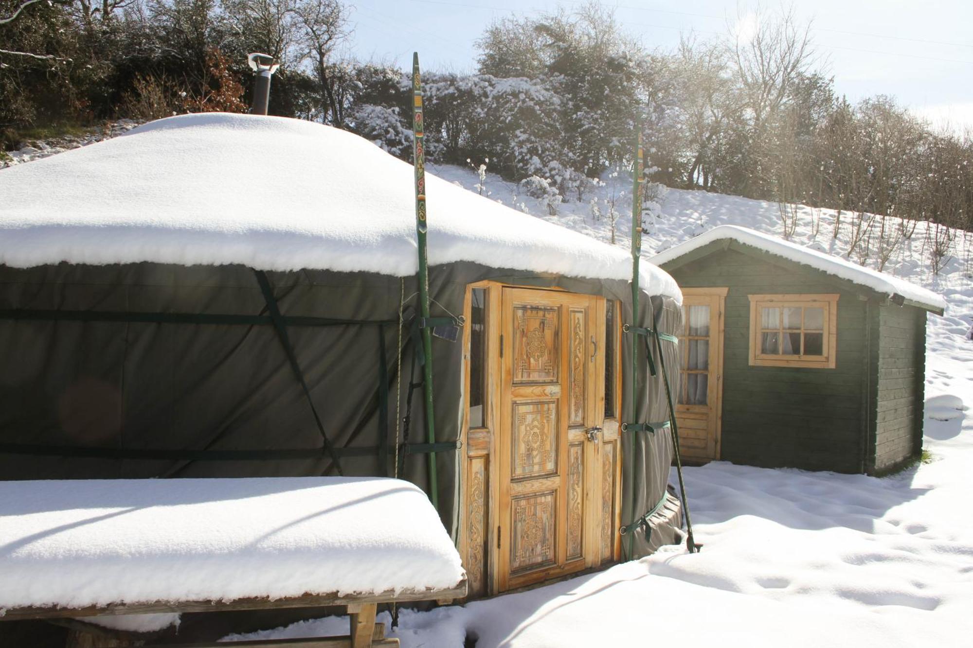 Crazy Pheasant Villa Mold Exterior photo